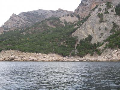 Прикрепленное изображение: IMG_0451.JPG